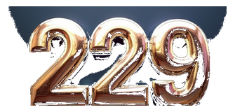 229 logo